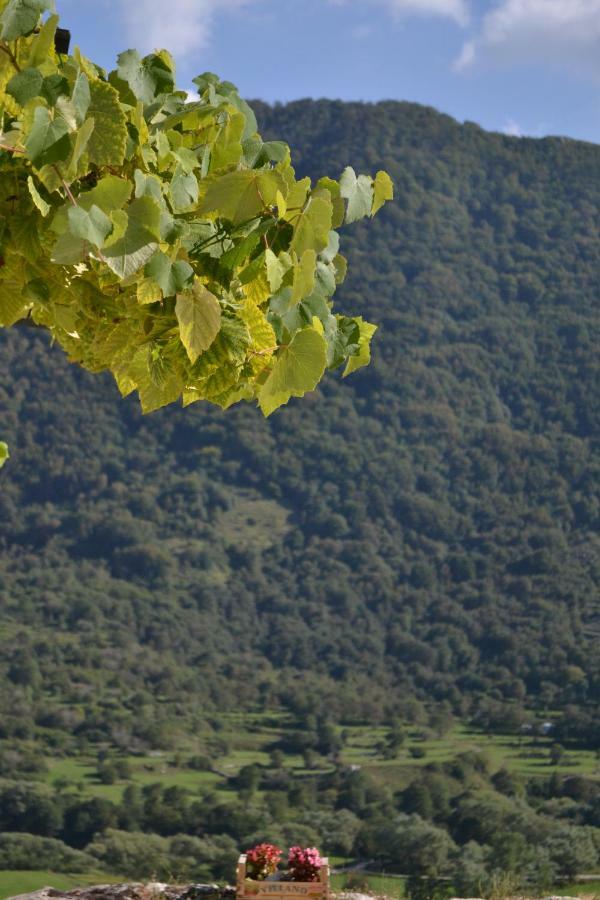 B&B La Casa Vecchia Gallo  Buitenkant foto